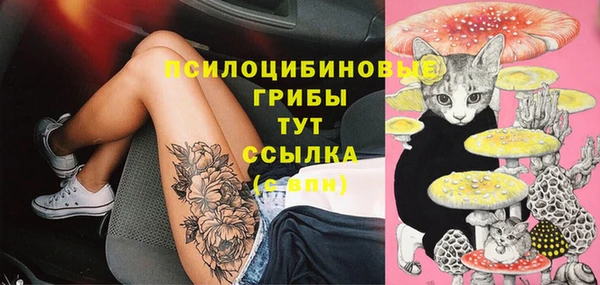 шишки Алексеевка