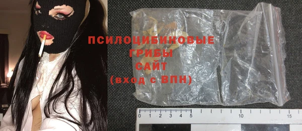 шишки Алексеевка