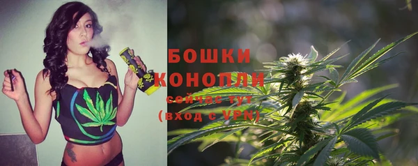 шишки Алексеевка